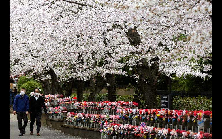 En el Parque Chidorigafuchi, miles de personas contemplaban los pétalos color rosa pálido mientras paseaban bajo las filas de árboles o desde botes de remos. AP/K. Sasahara