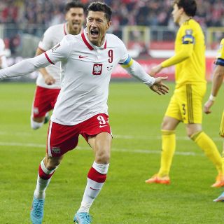 Polonia se clasifica y deja a Zlatan sin Mundial