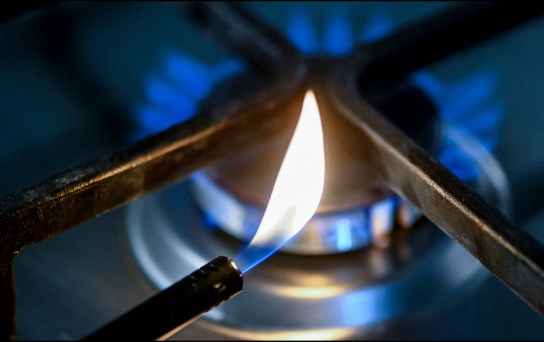 El representante del gobierno, Steffen Hebestreit, informó en un comunicado de que Scholz y Putin hablaron por teléfono por iniciativa de este último para tratar la cuestión de los pagos a partir del 1 de abril. AFP / I. Fassbender