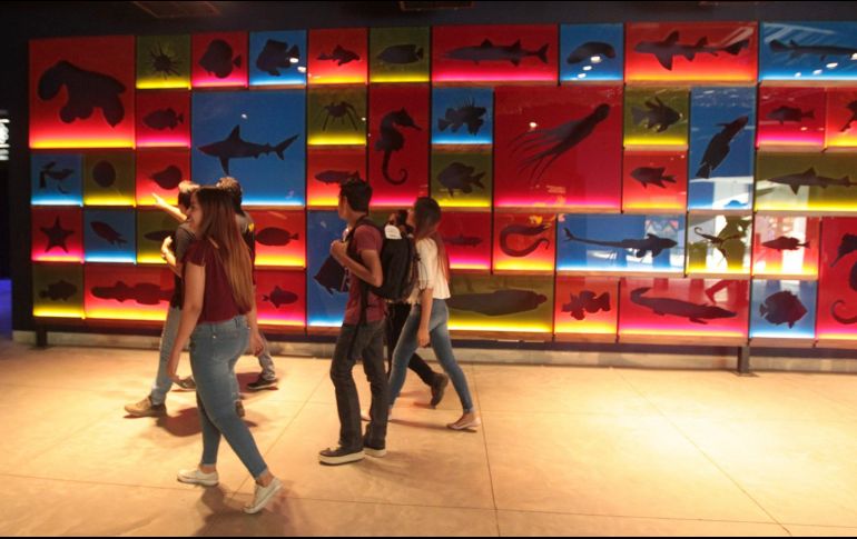 Todos los domingos, a partir del día 3 de abril y hasta el 1 de mayo, el Acuario Michin realizará actividades enfocadas en Guadalajara. EL INFORMADOR / ARCHIVO