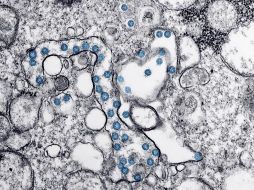 Creen que es probable que la variante Deltacron se propague, sin embargo, ómicron sigue extendiéndose ampliamente en continentes como Europa. AFP / ARCHIVO