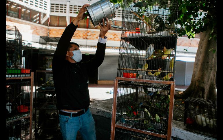 Algunas aves fueron rescatadas tras el incendio. EL INFORMADOR / G. Gallo