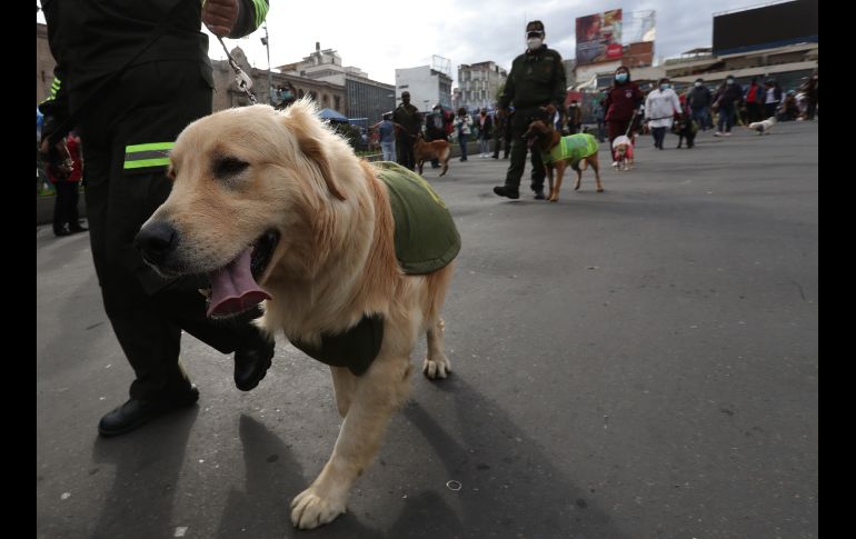 Los participantes marcharon en medio de consignas, música y ladridos. EFE/M. Alipaz