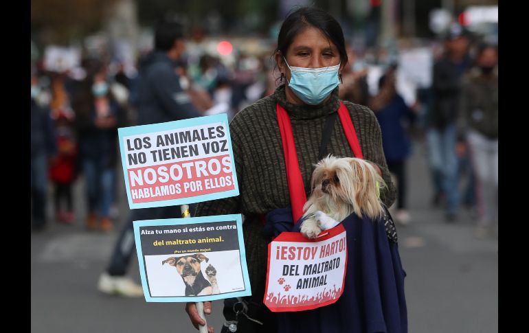 Los participantes marcharon en medio de consignas, música y ladridos. EFE/M. Alipaz