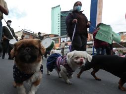 Los participantes marcharon en medio de consignas, música y ladridos. EFE/M. Alipaz