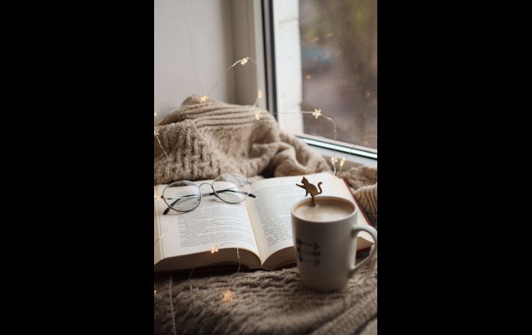 Photo by Nadya Shuran on Unsplash