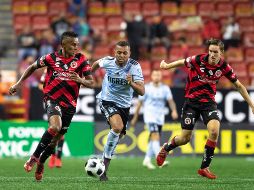 El partido Tigres vs Xolos podrá ser visto en televisión restringida. IMAGO7