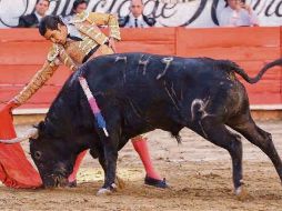 Mansos. Los astados de la corrida de ayer carecieron de bravura, lo que desfavoreció al espectáculo. Plaza Nuev Progreso