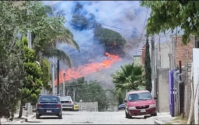 Detallan que el incendio forestal no representa riesgo para las zonas habitacionales. ESPECIAL