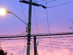 El dirigente nacional del PAN, Marko Cortés, explicó que la alianza opositora votará 