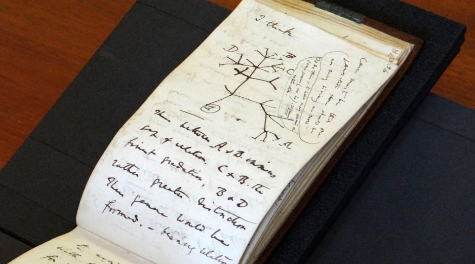 La policía investiga quién está detrás del presunto robo y la devolución de las pequeñas libretas -una de las cuales contiene un boceto del famoso 