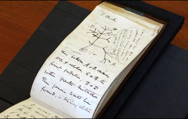 La policía investiga quién está detrás del presunto robo y la devolución de las pequeñas libretas -una de las cuales contiene un boceto del famoso 