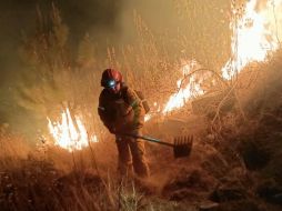 Cuatro brigadas de Protección Civil de Zapopan, así como brigadas del OPD Bosque La Primavera y Semadet trabajan en la extinción del incendio. TWITTER / @SemadetJal