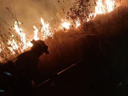 En la extinción del fuego participaron elementos de la Semdat, Conagor, Protección Civil, y brigadas voluntarias capacitadas. TWITTER / @SemadetJal