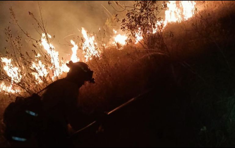 En la extinción del fuego participaron elementos de la Semdat, Conagor, Protección Civil, y brigadas voluntarias capacitadas. TWITTER / @SemadetJal