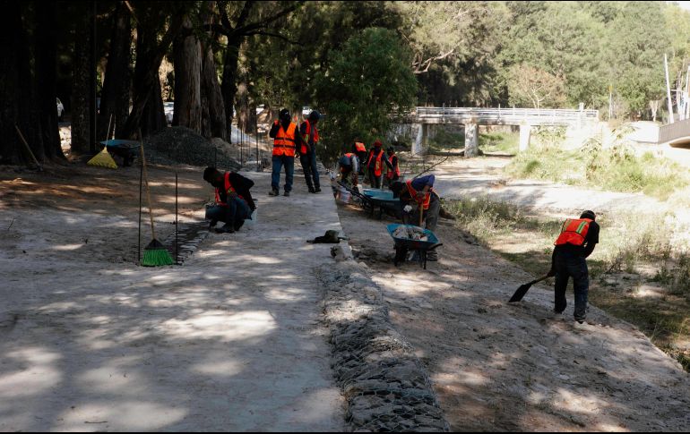 EL INFORMADOR / G. Gallo