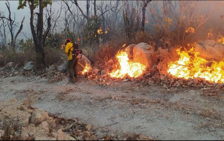Hasta el momento se desconocen las causas del fuego y el tamaño de la superficie afectada. TWITTER/SemadetJal
