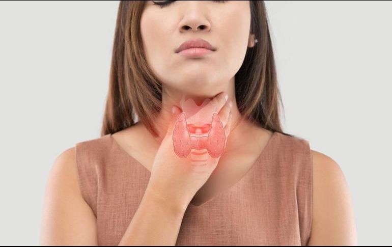 La tiroides es una glándula con forma de mariposa que ayuda al cuerpo a usar la energía. GETTY IMAGES