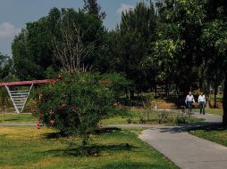 La medida fue aprobada por el Congreso de Jalisco con 29 votos a favor, una abstención y siete en contra. EL INFORMADOR / ARCHIVO