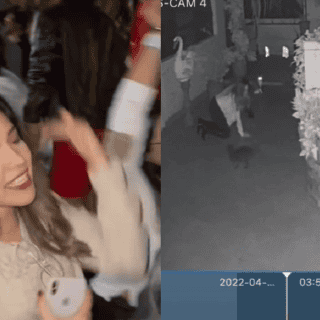 Viral: Intenta ingresar a escondidas a su casa; mascota la delata