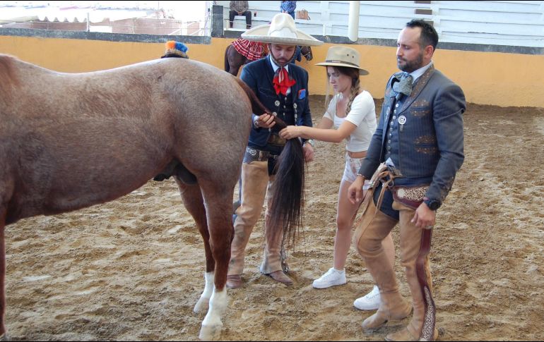 Muchas actividades te esperan, entre ellas aprender a montar a caballo. ESPECIAL