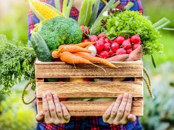 El incremento en la demanda de alimentos y la necesidad de cubrirla, así como la crisis ambiental son parte de los factores. ESPECIAL