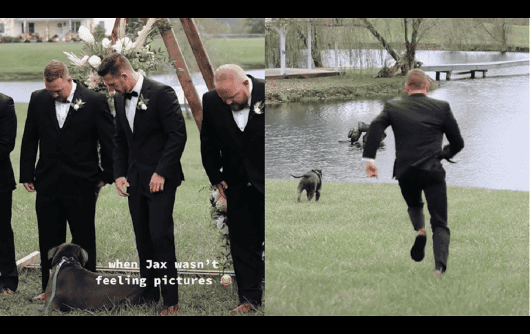 El lago al fondo resultó una tentación a la que el padrino canino no pudo resistirse. TIKTOK: @alexsimonproductions