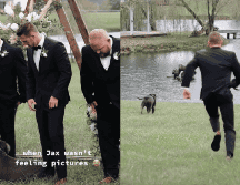 El lago al fondo resultó una tentación a la que el padrino canino no pudo resistirse. TIKTOK: @alexsimonproductions