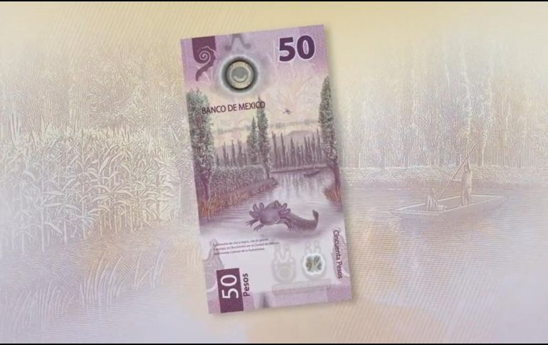 Billete del ajolote se vuelve viral. INFORMADOR/ ARCHIVO