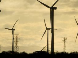 Diputados de Jalisco rechazan reforma eléctrica