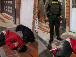 Fiel hasta la embriaguez, este perrito no descuidó a su dueño en ningún momento. FACEBOOK: G. Guerrero