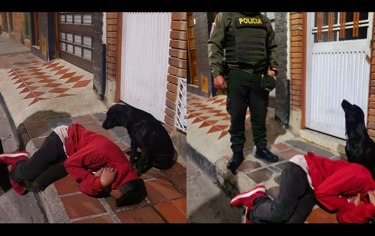 Fiel hasta la embriaguez, este perrito no descuidó a su dueño en ningún momento. FACEBOOK: G. Guerrero