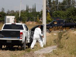 Jalisco se ubicó en el primer lugar nacional con más cuerpos exhumados de fosas clandestinas de 2006 a noviembre de 2021. EFE/ARCHIVO