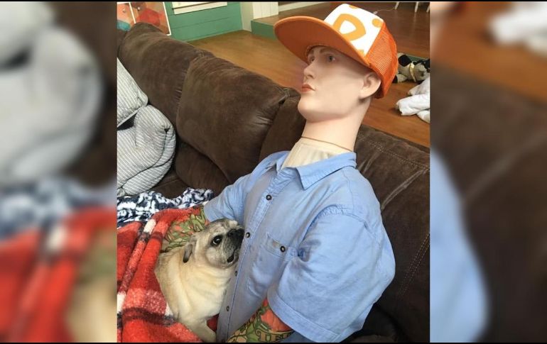 Shorty dejó de extrañar a su dueño, y Kristen consiguió fotos donde se ve a Shorty, que por fin logró dormir tranquilamente. ESPECIAL