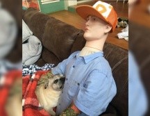 Shorty dejó de extrañar a su dueño, y Kristen consiguió fotos donde se ve a Shorty, que por fin logró dormir tranquilamente. ESPECIAL