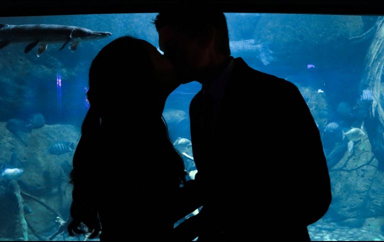 El13 de abril es el Día Mundial del Beso. ESPECIAL/Photo by Kimi Albertson on Unsplash.