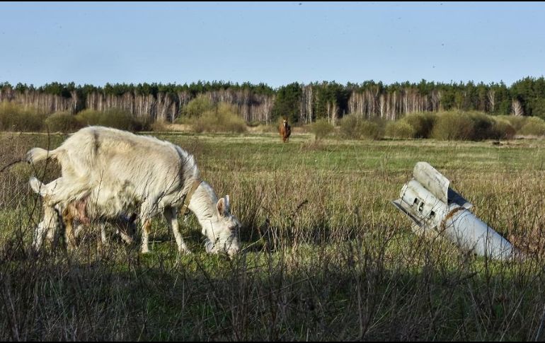 Lamentan que, debido a la situación, asociaciones humanitarias no puedan llevar alimentos a quienes los necesitan. EFE/O. Petrasyuk