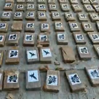 ¡Impactante! Aseguran 1.2 toneladas de cocaína frente a costas de Jalisco (VIDEO)