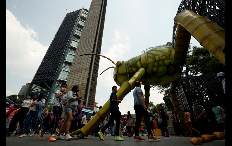 Los visitantes podrán apreciar 11 monumentales insectos a lo largo del recorrido dentro del Bosque de Chapultepec. EFE/J. Méndez