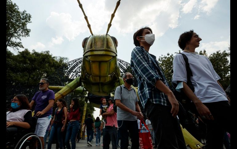 Los visitantes podrán apreciar 11 monumentales insectos a lo largo del recorrido dentro del Bosque de Chapultepec. EFE/J. Méndez