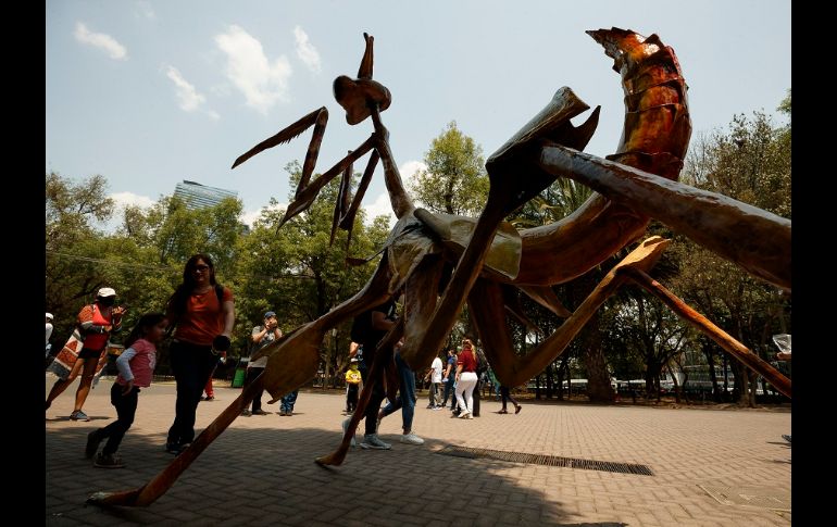 Los visitantes podrán apreciar 11 monumentales insectos a lo largo del recorrido dentro del Bosque de Chapultepec. EFE/J. Méndez