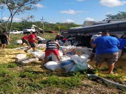 Vecinos del rumbo aprovecharon para acudir al sitio y de inmediato comenzaron a levantar el alimento en sacos, pero no para ayudar, sino para llevárselo a sus hogares. ESPECIAL