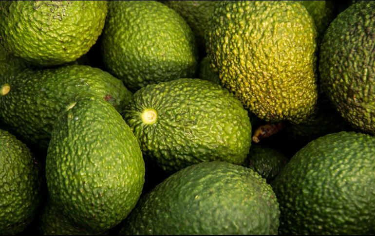 Ilegales. Han sido más de 2,500 hectáreas de aguacate ilegales detectadas. Pixabay