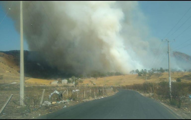 Los incendios fueron atendidos por elementos de Protección Civil y de la Secretaría de Medio Ambiente y Desarrollo Territorial (Semadet). CORTESÍA / Protección Civil de Zapopan