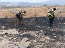 En total, atendieron el incendio 32 brigadistas de diferentes corporaciones. ESPECIAL/SEMADET