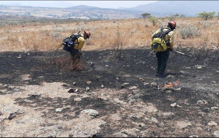 En total, atendieron el incendio 32 brigadistas de diferentes corporaciones. ESPECIAL/SEMADET