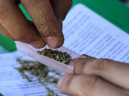 Los grupos parlamentarios no se han puesto de acuerdo en la edad mínima para el consumo de la droga. EFE/L . Ramírez