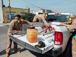 De acuerdo con la Secretaría de Salud, el dengue es una enfermedad febril transmitida mediante la picadura de un mosquito infectado con alguno de los serotipos. EL INFORMADOR / ARCHIVO