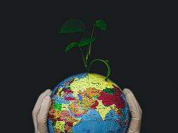 Conoce algunos libros interesantes sobre el planeta en el Día de la Tierra. ESPECIAL/Photo by Fateme Alaie on Unsplash.