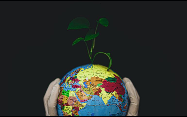 Conoce algunos libros interesantes sobre el planeta en el Día de la Tierra. ESPECIAL/Photo by Fateme Alaie on Unsplash.